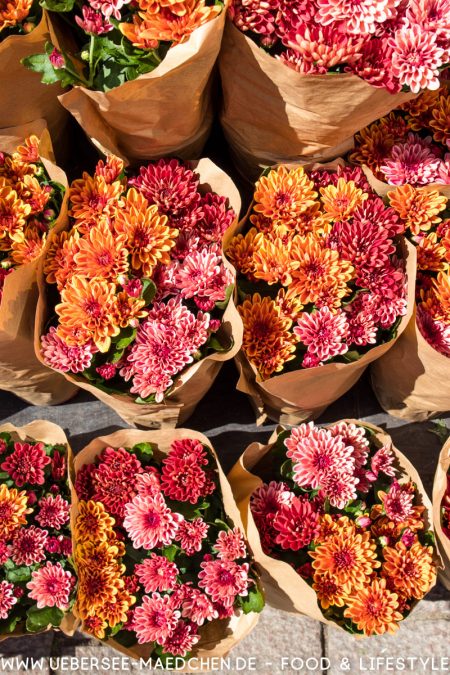 Potsdam Innenstadt Blumenstand von ÜberSee-Mädchen Foodblog vom Bodensee Überlingen-17
