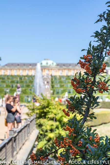 Potsdam Schloss Sanssouci von ÜberSee-Mädchen Foodblog vom Bodensee Überlingen-17