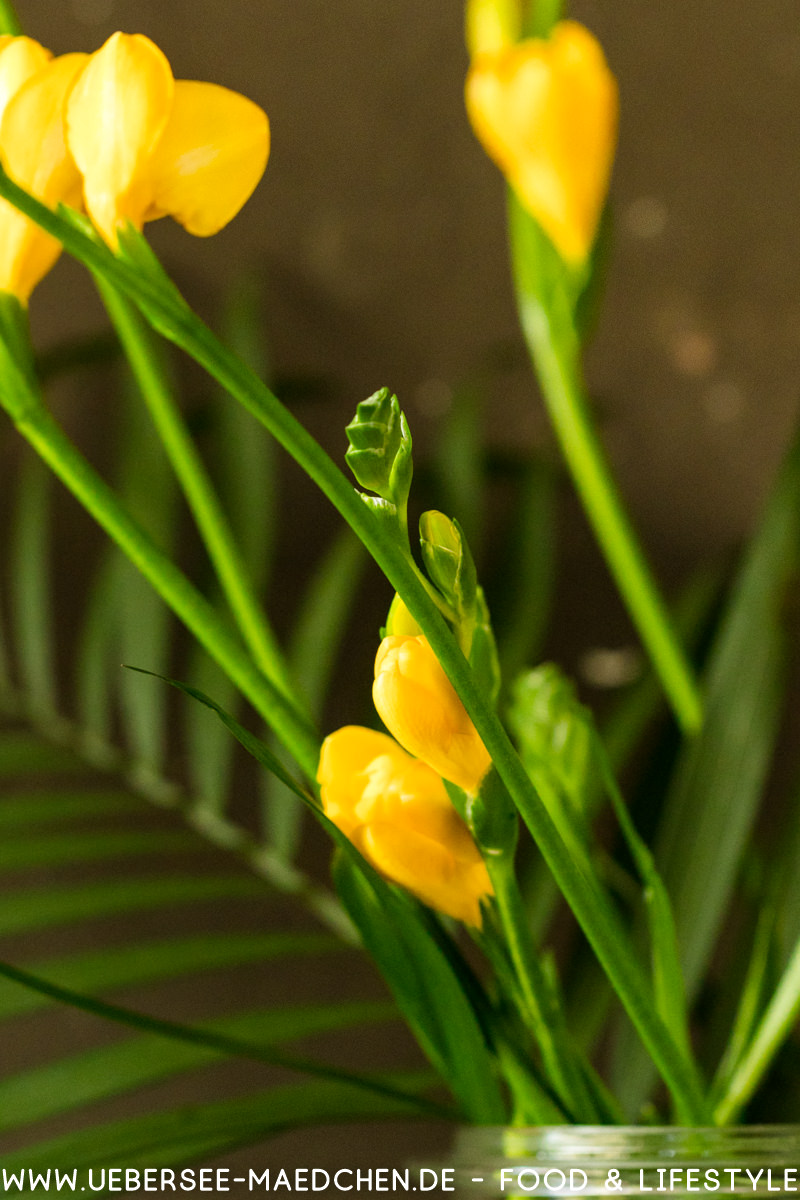 Nussiger Kaffee-Guglhupf mit Schokolade - ÜberSee-Mädchen