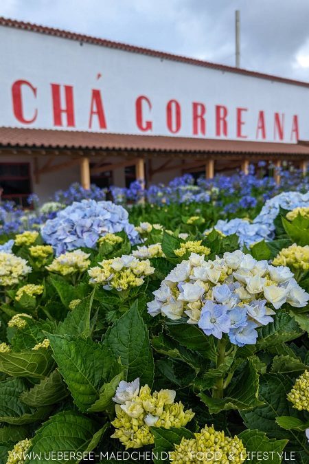 Chá Gorreana ist ein Tipp auf den Azoren für Foodies