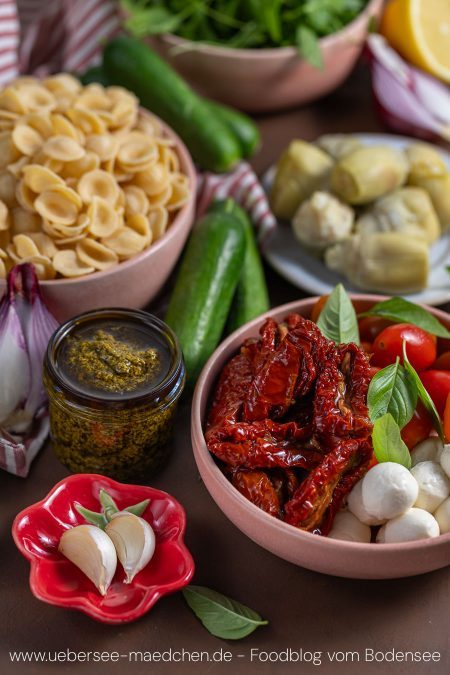 Zutaten für mediterranen Nudelsalat mit Antipasti Mozzarella Pesto