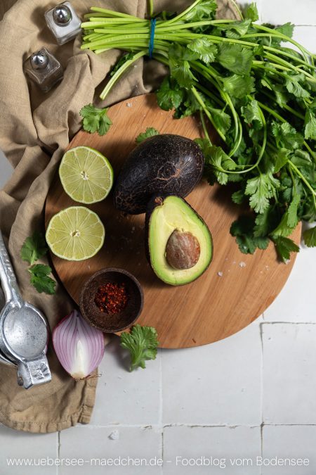 Fünf Zutaten Avocado Zwiebel Koriander Limette und Chili für Guacamole